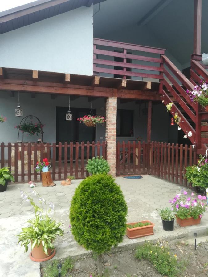Casa Ricciotti Vila Tritenii de Jos Exterior foto